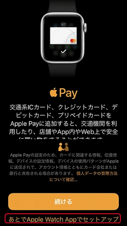 ApplePay