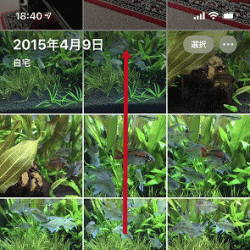 Iphoneの写真を先頭 最後にスクロールさせる Iphoneの活用 カメラ 写真 他